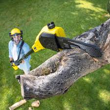  Burns Flat, OK Tree Services Pros