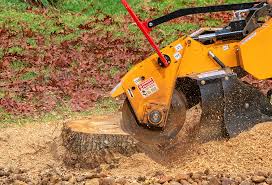 Best Utility Line Clearance  in Burns Flat, OK